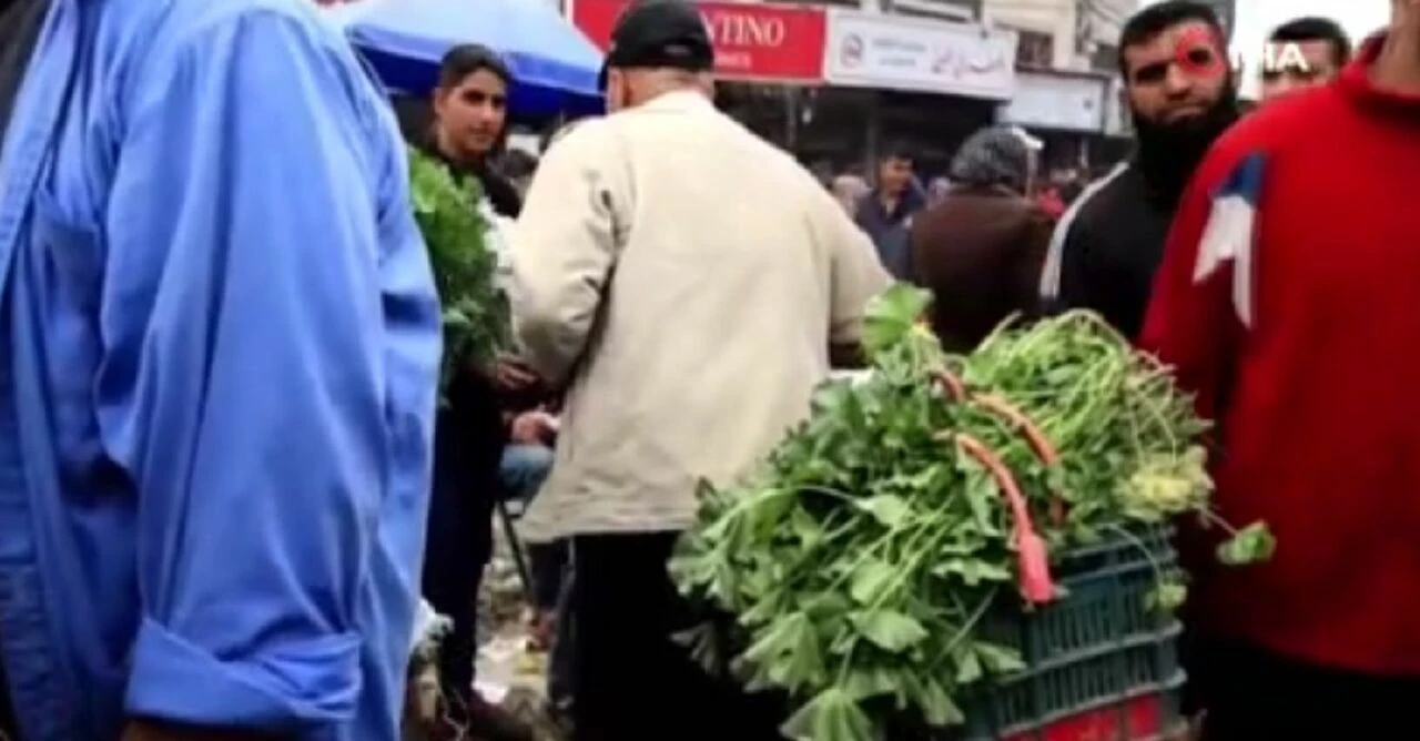 Gazze’de durum çok vahim: Yiyecek olarak yabani bitki satılıyor - 1. Resim