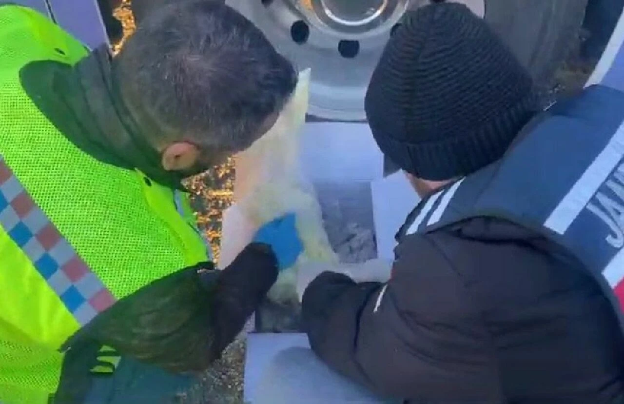 Peynir paketlerinden tarih çıktı! - 1. Resim