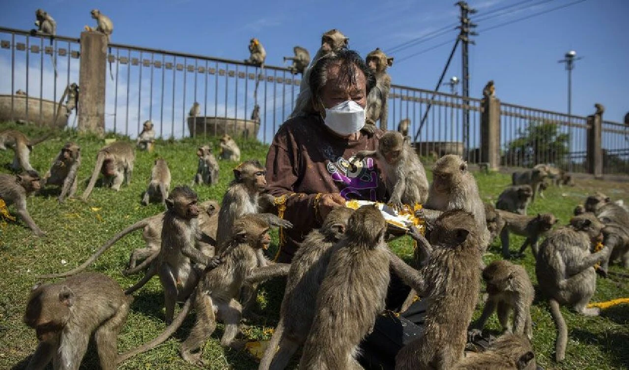 Şehri istila ettiler: Yaşamı durma noktasına getirdiler