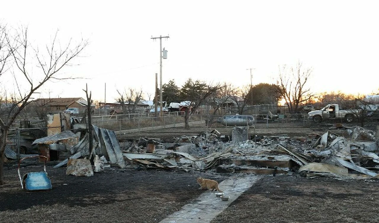 Teksas'taki orman yangını kontrol altına alınamıyor! 2 ölü - 2. Resim