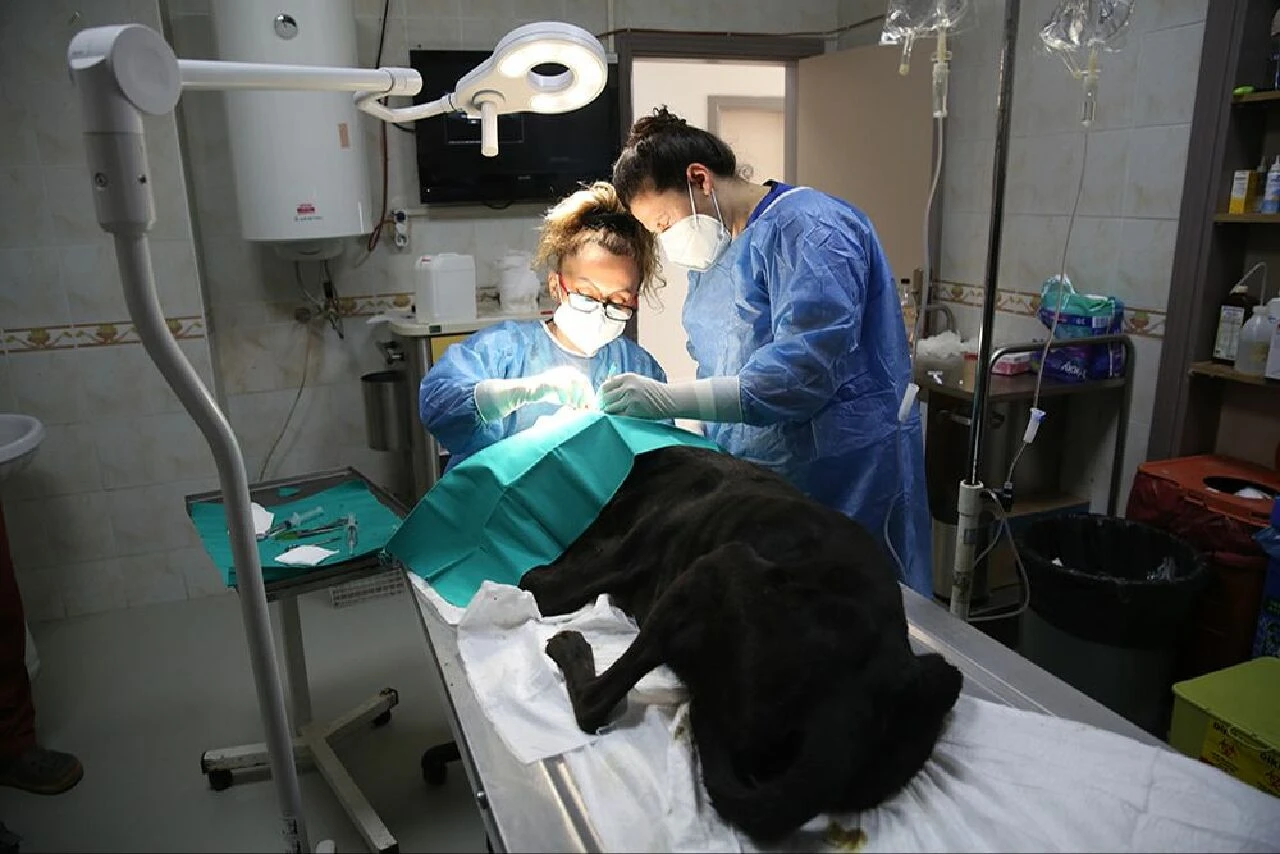 Cingöz'ün iki gözünü de eritmişler, artık göremeyecek! - 1. Resim