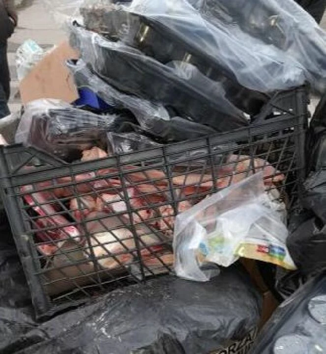 At eti skandalı! Çöpten çıkan hayvan kemikleri halkı şüphelendirdi - 1. Resim