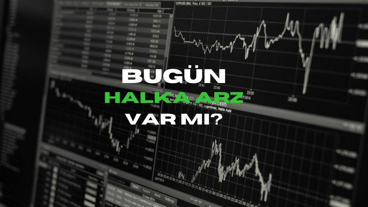 Bu hafta halka arz olacak şirketler | 4 - 10 Mart halka arz takvimi