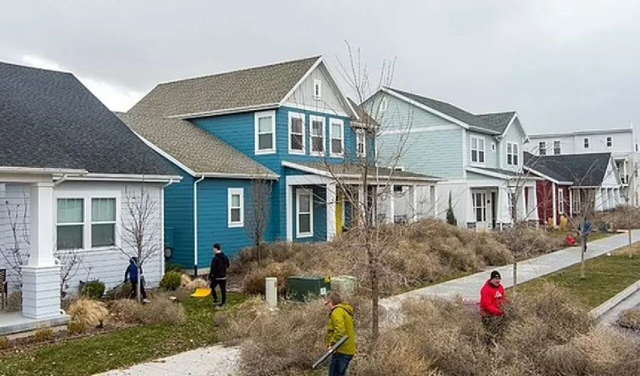 Dikenli otlar şehri istila ettiler: İnsanlar resmen mahsur kaldılar - 5. Resim