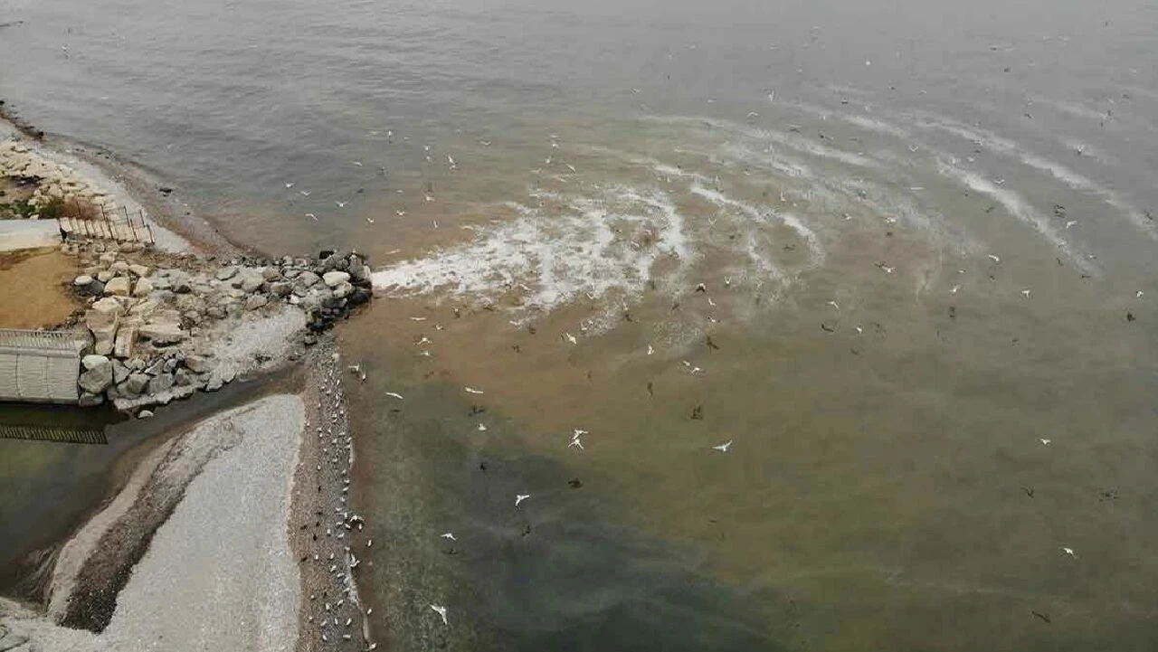 Beylikdüzü'nün lağımı Marmara Denizi'ne akıyor! Deniz kahverengi oldu