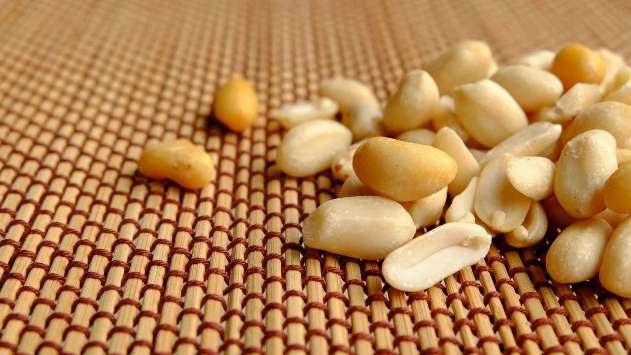 Kuruyemişteki aflatoksin zehirlemesi kansere yol açar mı? Aflatoksinin bulunma ihtimali olan yiyecekler, gıdalar ve süt ürünleri - 2. Resim