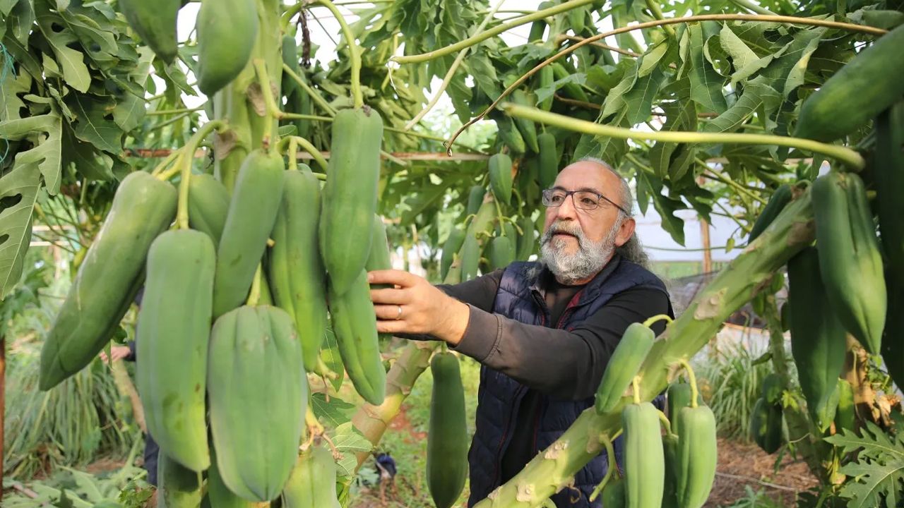 Eşi seviyor diye üretmeye başladı, şimdi paraya para demiyor! Getirisi çok yüksek: 3 ülkeden sipariş yağıyor