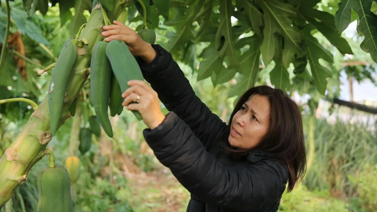 Eşi seviyor diye üretmeye başladı, şimdi paraya para demiyor! Getirisi çok yüksek: 3 ülkeden sipariş yağıyor