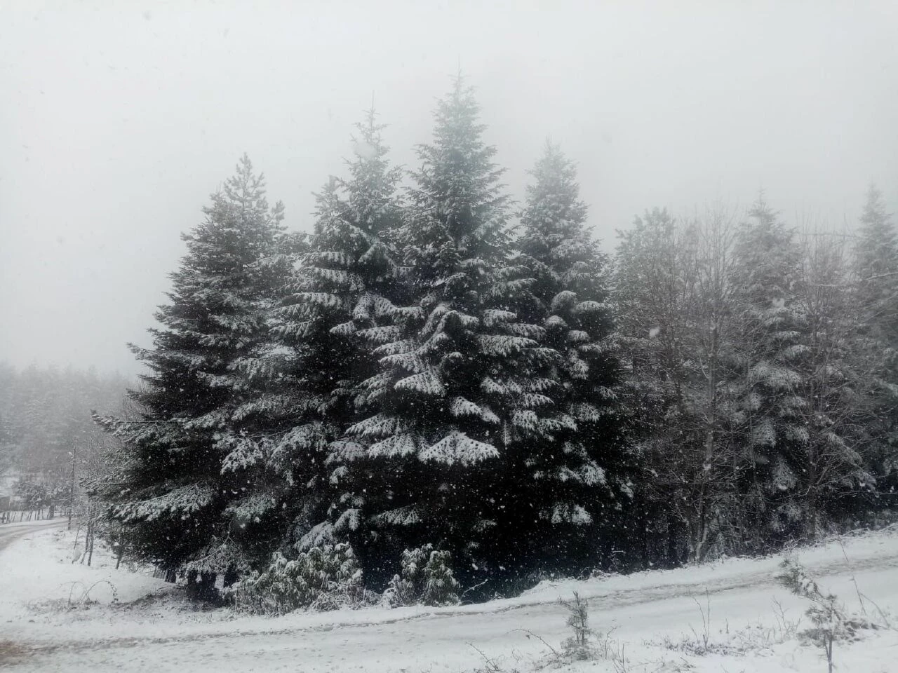 Marmara'da mart kapıdan baktırdı: 2 ilimiz beyaza büründü - 2. Resim