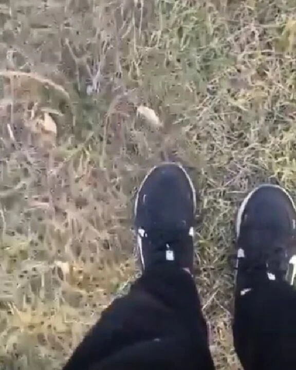 Küçük kızlar köpek saldırısına uğradı! Çığlık çığlığa kaydettiler