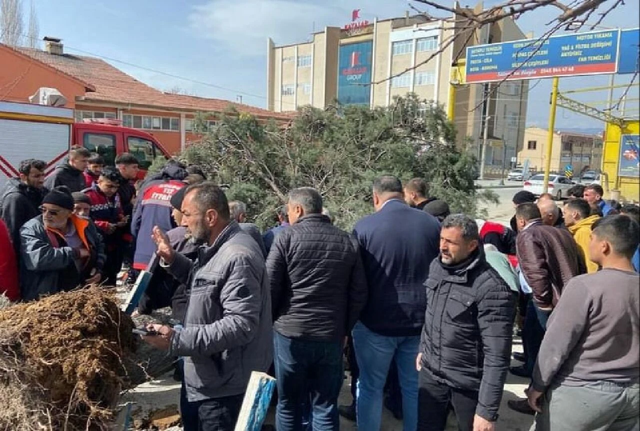 Saadet Partili adayın üzerine ağaç devrildi, altından kalkamadı! O anlar kamerada