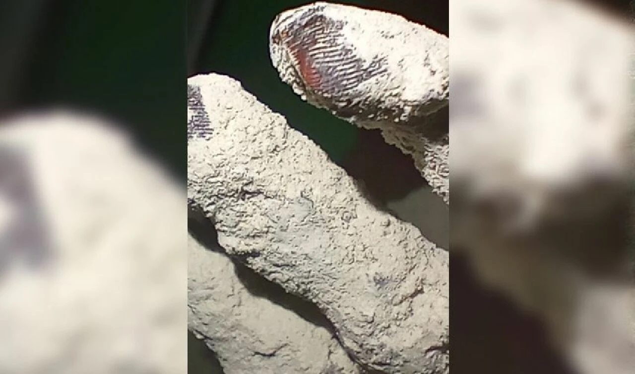 Uzaylı iddiası gündemi sarstı! 3 parmaklı mumyaların gizemi çözülüyor - 2. Resim