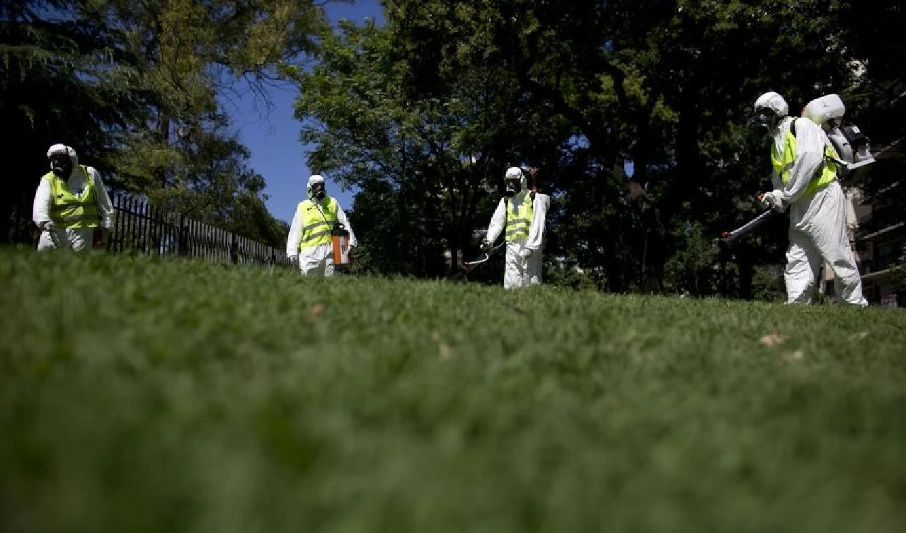 Böcekler ülkeyi resmen istila etti! Şimdiden onlarca kişi öldü - 2. Resim