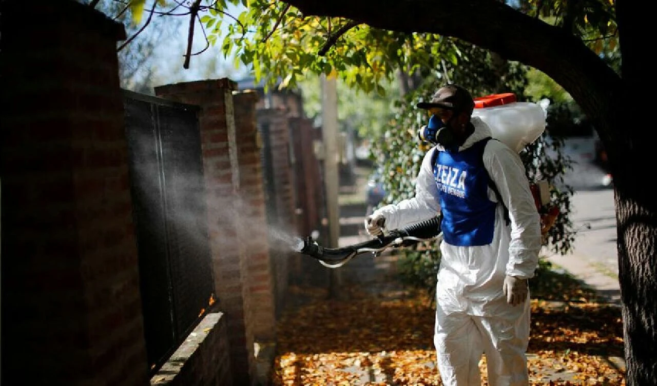 Böcekler ülkeyi resmen istila etti! Şimdiden onlarca kişi öldü - 3. Resim