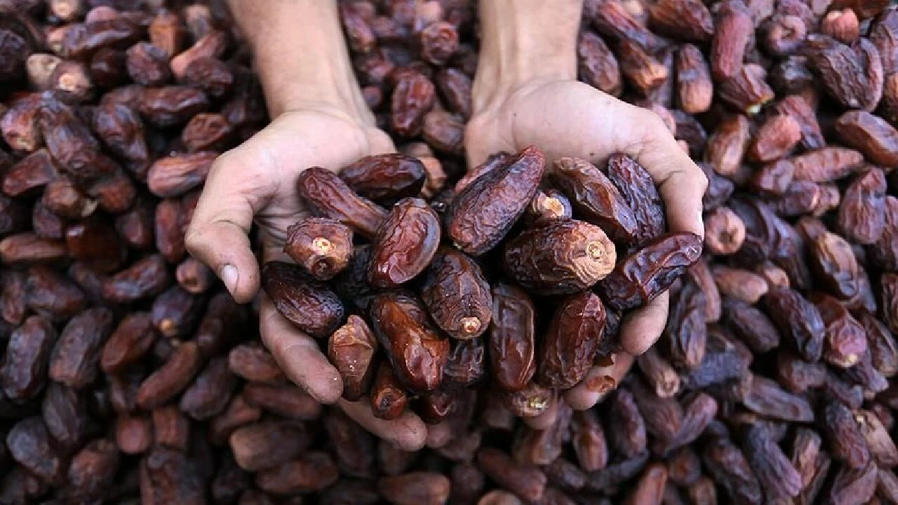 Türkiye, 5 yılda 261 milyon dolarlık hurma ithal etti