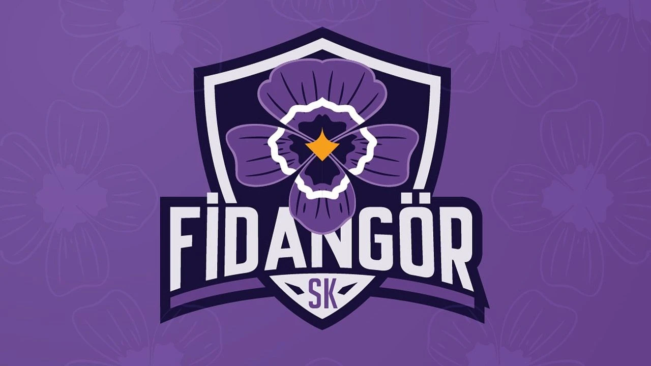 Türkiye'de bir ilk! Taraftar grubu tribünden sahaya indi - 1. Resim