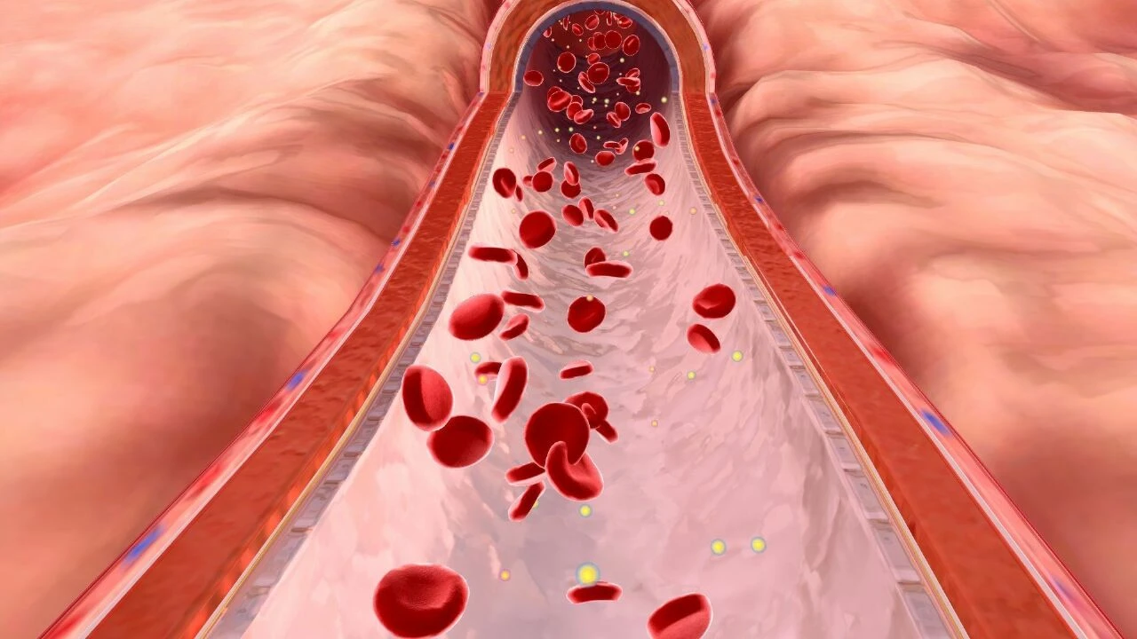 Türkiye'nin bir yanı şişiyor bir yanı zayıf kalıyor! Avrupa elimize su dökemiyor - 2. Resim