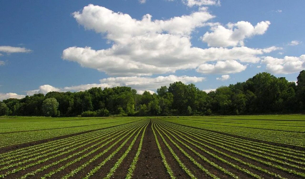 Paradan daha değerli! İslam Memiş geleceğin yatırımını açıkladı