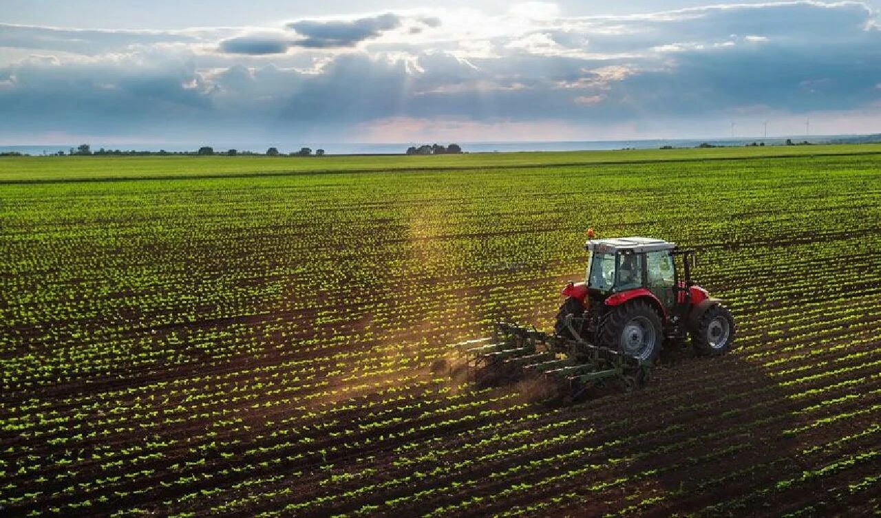 Paradan daha değerli! İslam Memiş geleceğin yatırımını açıkladı