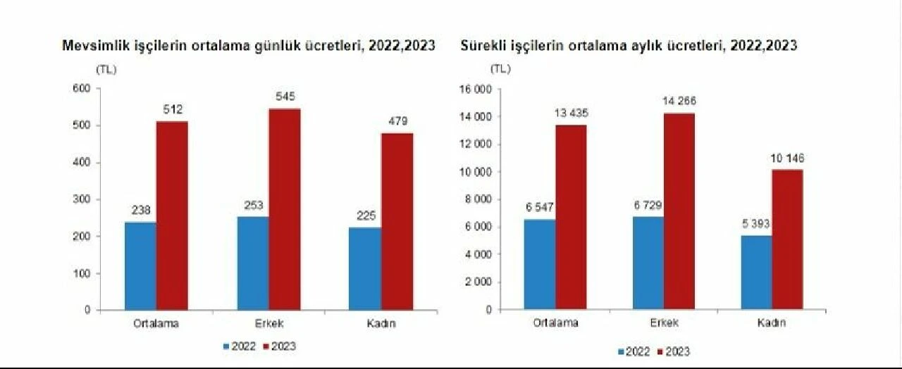 Mevsimlik işçilerin ücretlerinde yüzde 114,6'lük artış
