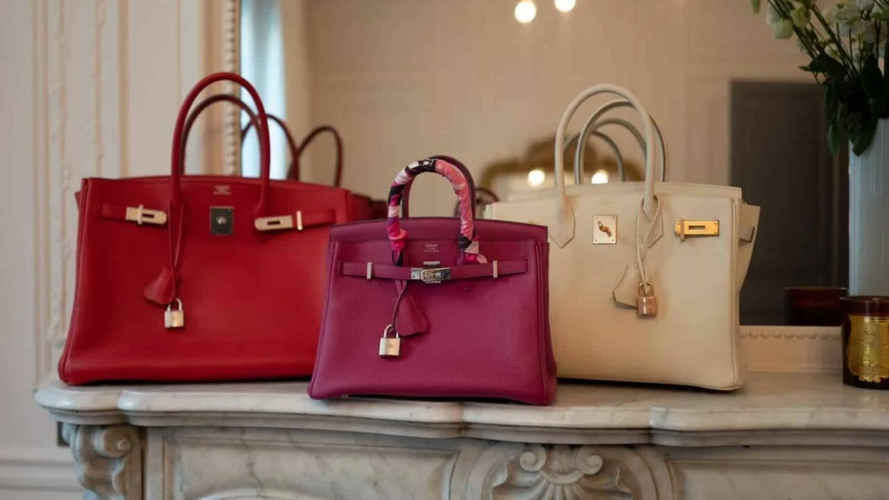 Sarsılan dünya ekonomisini gölgede bırakan el çantalarının gizemi! 2 ev fiyatına çantalar - 3. Resim