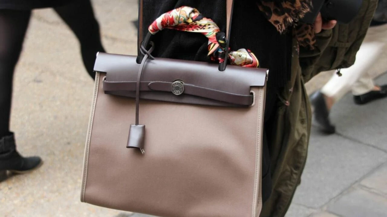 Sarsılan dünya ekonomisini gölgede bırakan el çantalarının gizemi! 2 ev fiyatına çantalar - 1. Resim