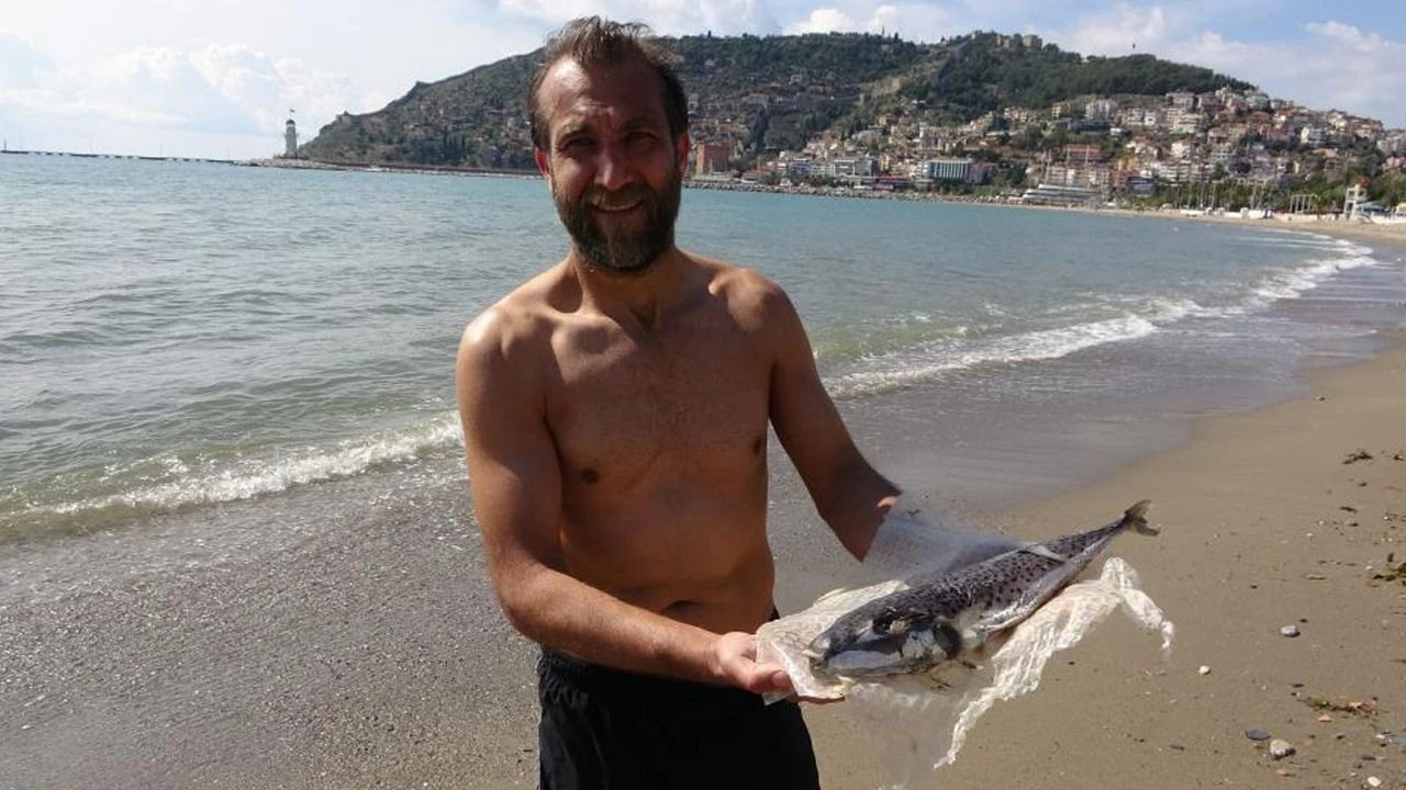 Bu balığa dokunmak bile süründürüyor... Alanya'da vatandaşlar tesadüfen buldu