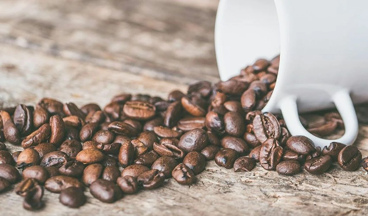 Türk kahvesi dünya fincanlarında, 5 yılda 3 katına çıktı - 2. Resim