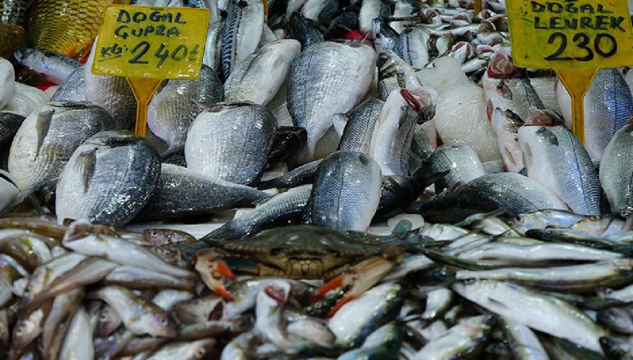 Balıkçıların korkulu rüyası oldular! Boyları 22 santime kadar ulaşıyor