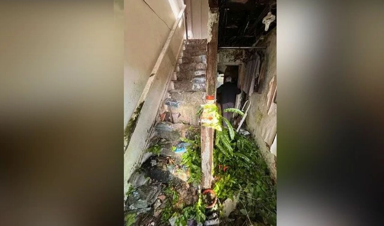 Bu çöp evdeki boyut bambaşka! İçinde otlar ağaçlar bitti - 2. Resim