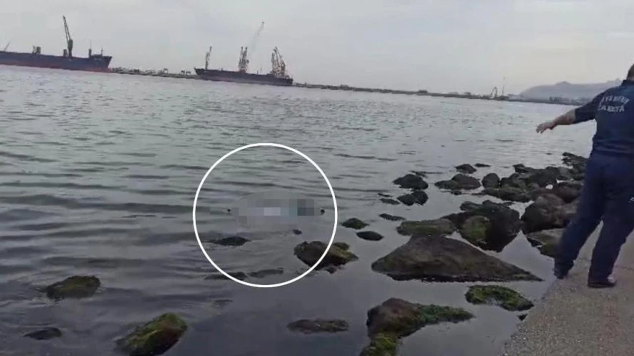 3 çocuk annesi kadının kahreden ölümü: Denizde cansız bedeni bulundu - 1. Resim