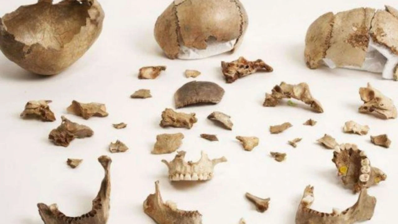 Avrupa'nın kara lekesi her mağarasında Yamyamlık çıktı! Afrika'ya çamur atanların karanlık tarihi