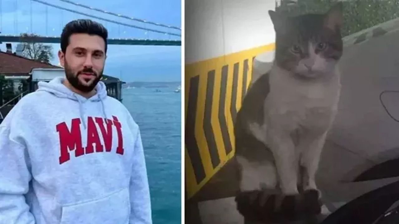 Kedi Eros davası bitti! Kediyi öldüren İbrahim Keloğlan tutuklanmadı, yurtdışına çıkış yasağı getirildi