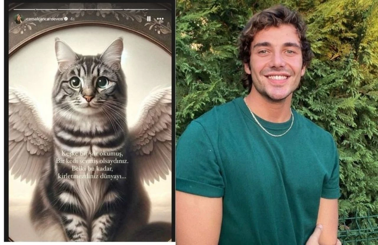 Kedi Eros'un katilinin serbest bırakılmasına ünlü isimlerden tepki