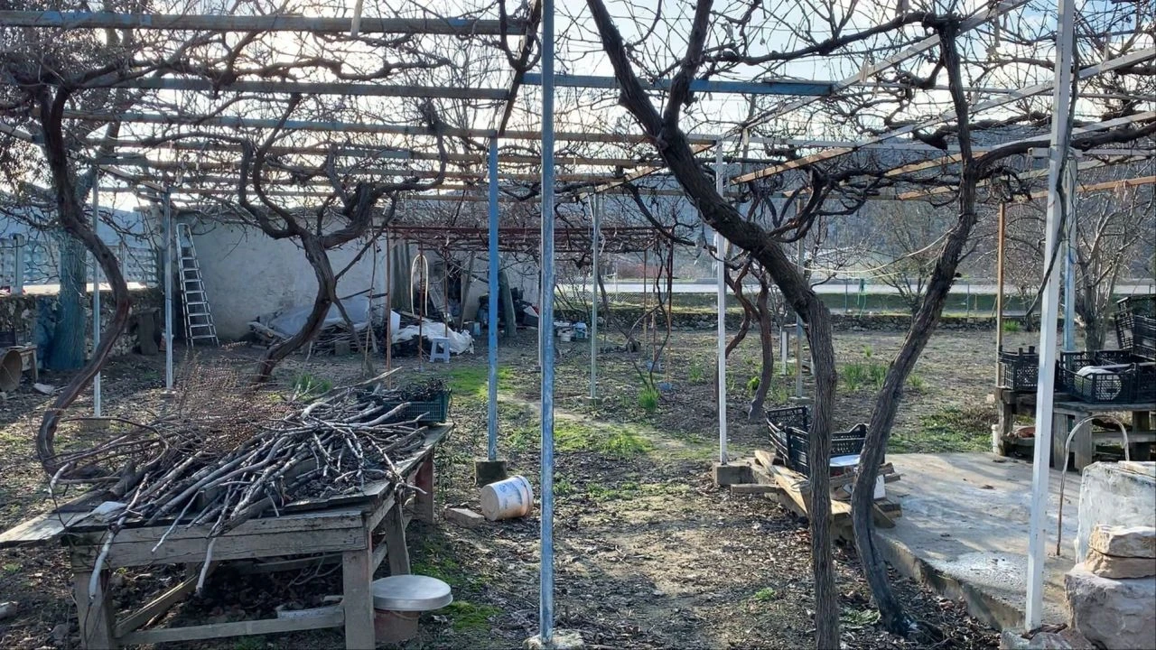 Milyonluk teklifleri reddetti! Fatma nineden duygulandıran hareket - 2. Resim