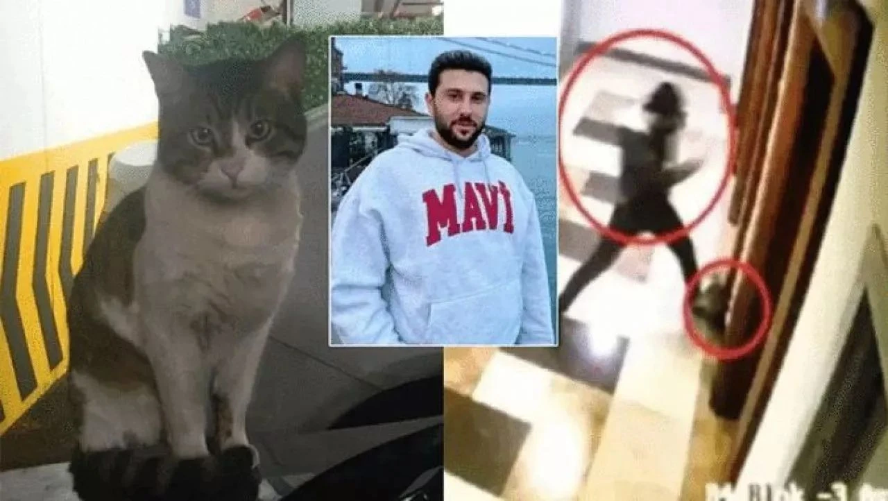 Ömer Çelik'ten Eros açıklaması: Kanun adına önemli bir adım - 1. Resim