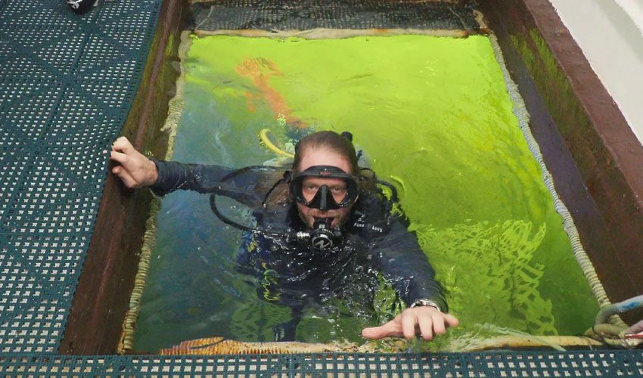 Su altında 100 gün geçiren eski dalgıç 20 yaş gençleştiğini öne sürdü - 1. Resim