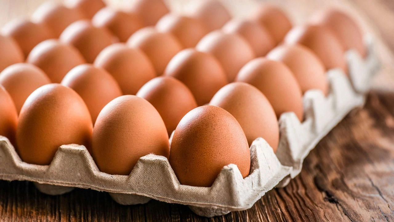 Tavuk eti ve süt üretimi arttı, yumurta üretimi azaldı - 1. Resim