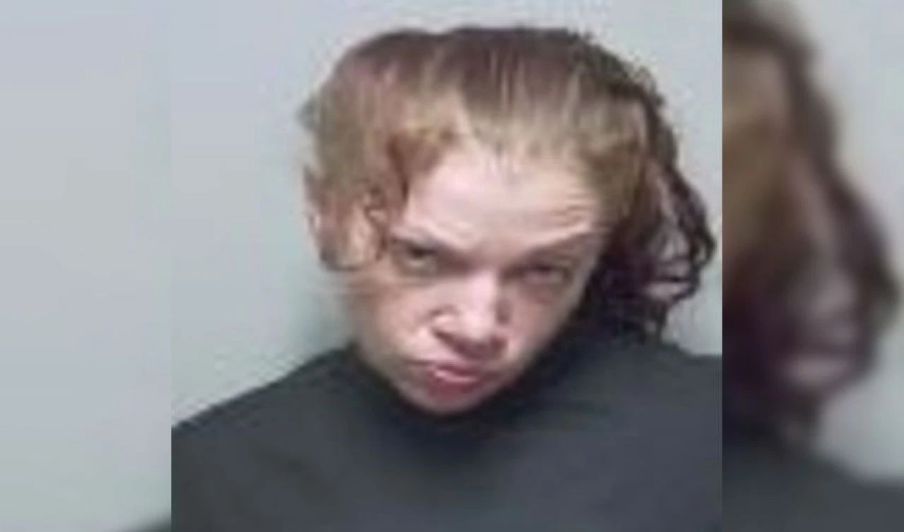 Vicdansız anneden akılalmaz olay! 18 aylık bebeğini 16 bin TL'ye satmaya çalıştı - 3. Resim