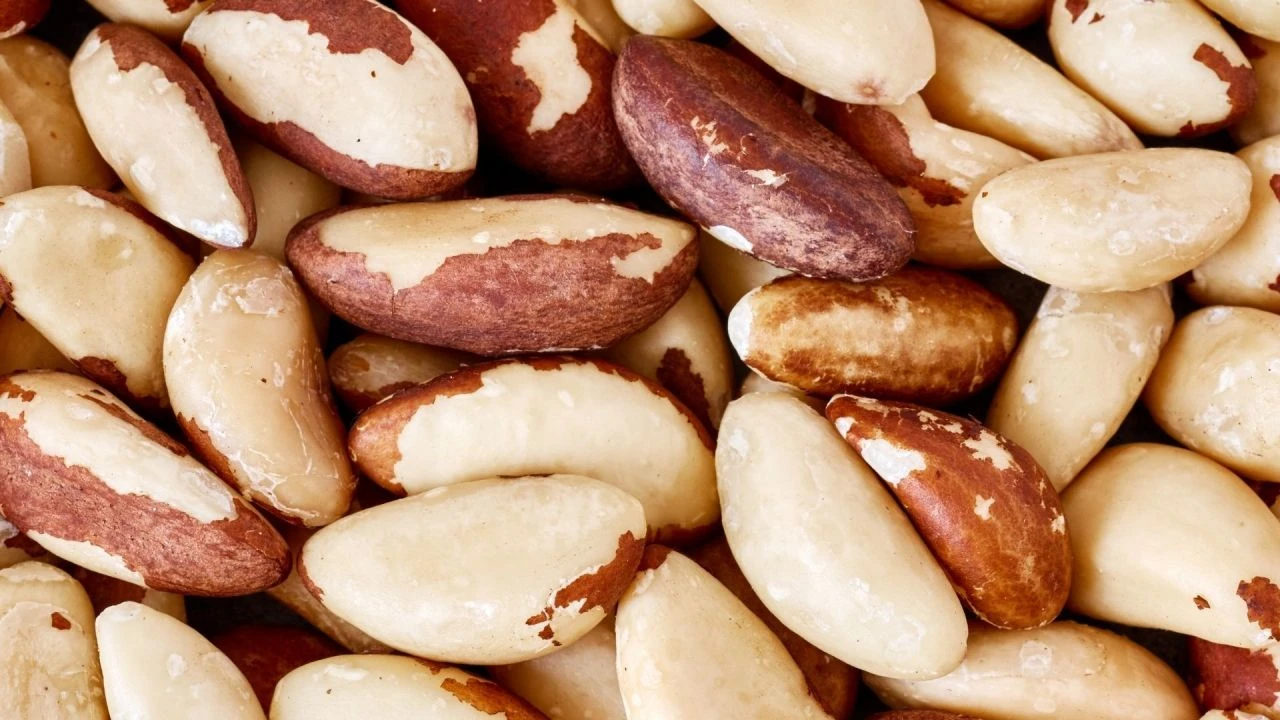 Canan Karatay popüler kuruyemişlerin sınır dışı edilmesini istedi! Vücudunuzda zehirli gaz biriktiriyor uyarısı