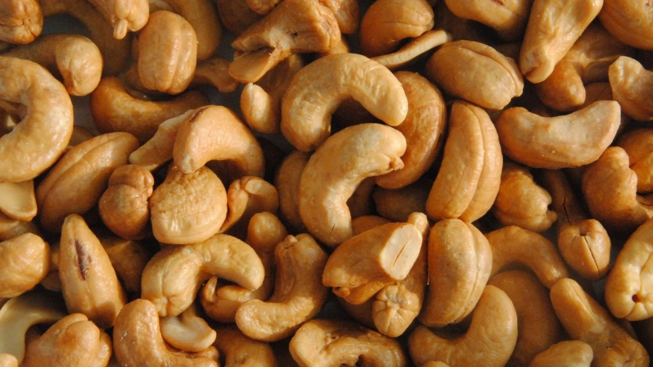 Canan Karatay popüler kuruyemişlerin sınır dışı edilmesini istedi! Vücudunuzda zehirli gaz biriktiriyor uyarısı