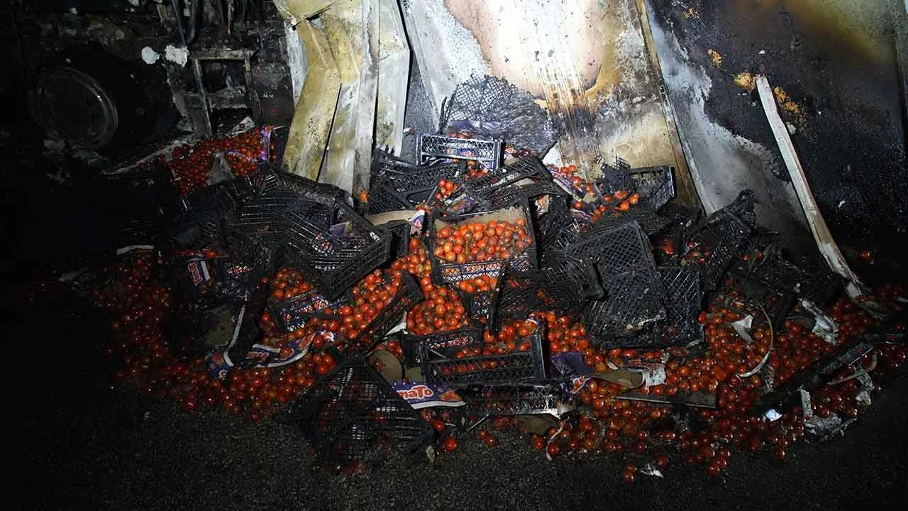 Domates yüklü TIR yanarak hurdaya döndü