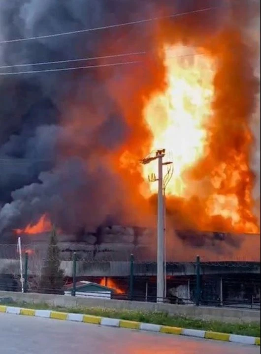 İzmir'de soğuk hava deposunda yangın! Dumanlar gökyüzünü kapladı - 1. Resim