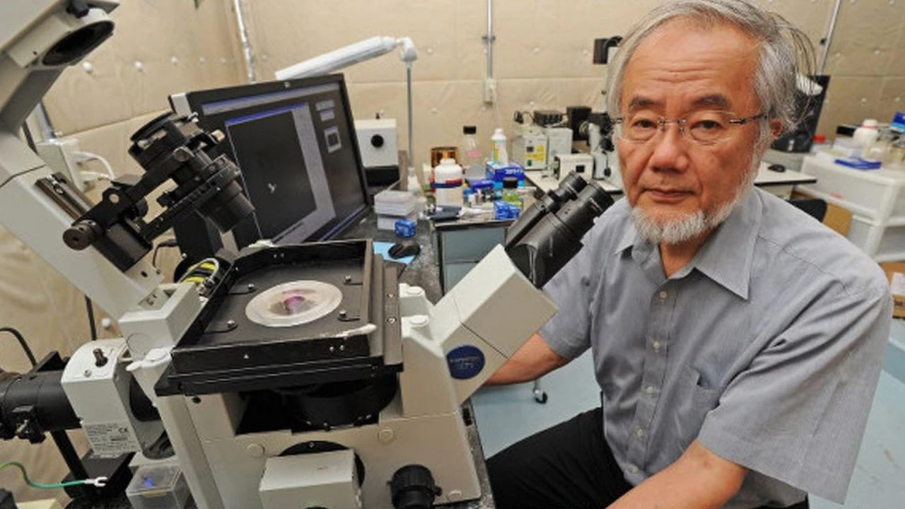 Japon Bilim insanları oruç tuttu! Maneviyatı artırıyor kanıtı - 2. Resim