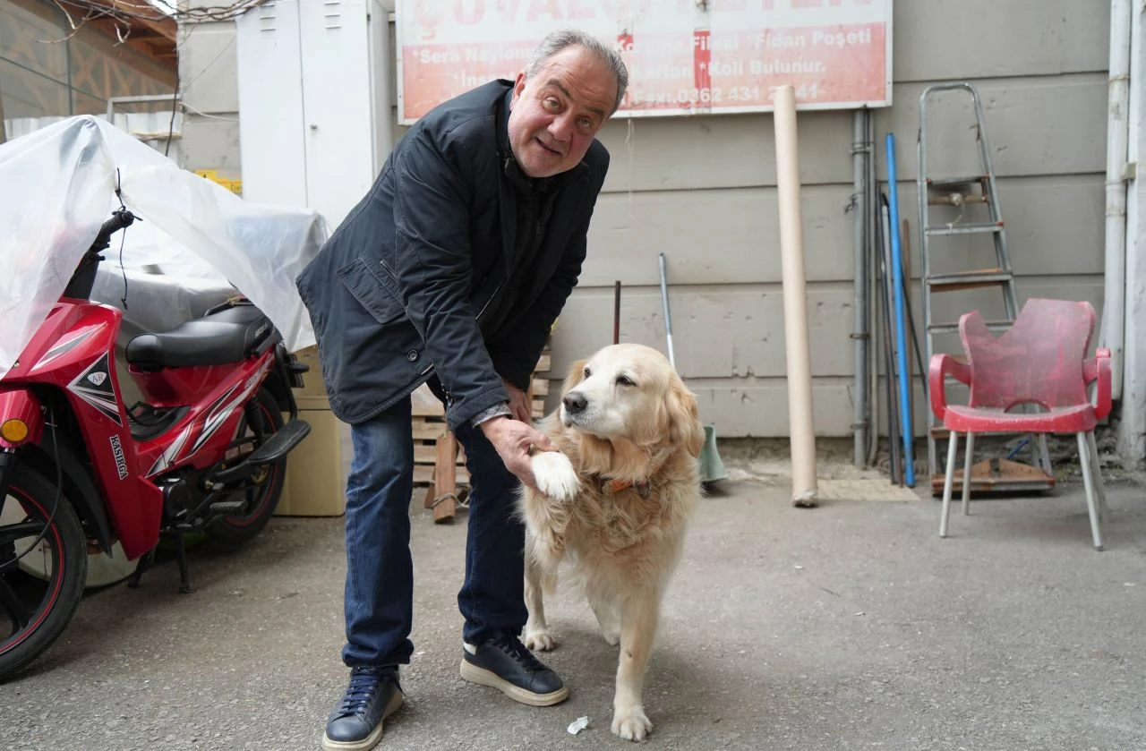 Köpekten korkup ayağını kırdı! Doktor şikayetçi oldu, başına gelmeyen kalmadı!