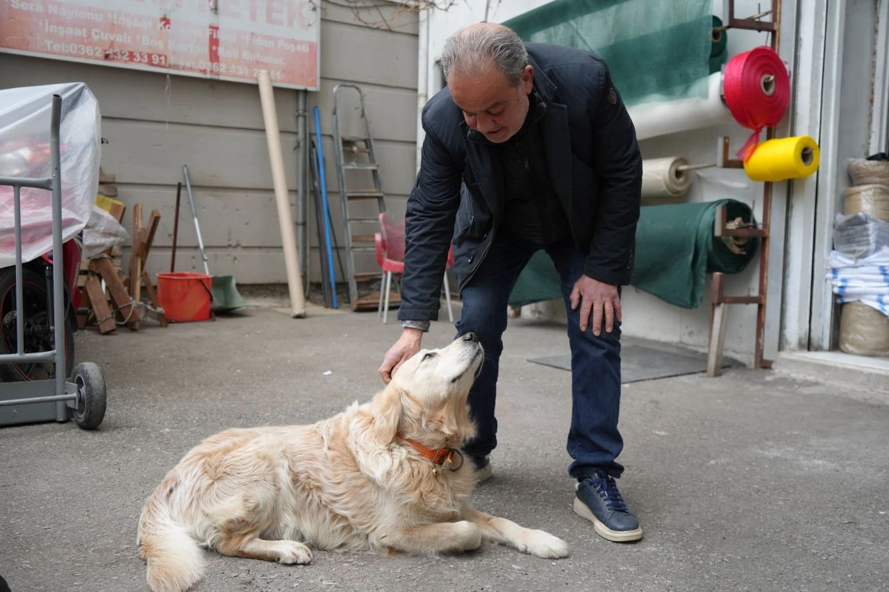 Köpekten korkup ayağını kırdı! Doktor şikayetçi oldu, başına gelmeyen kalmadı!