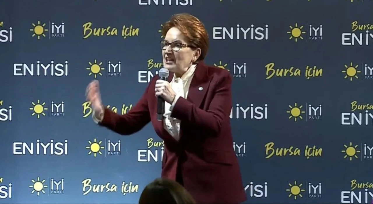 Meral Akşener'den Erdoğan'a çağrı: Bunları yap bütün oylar senin olsun - 1. Resim