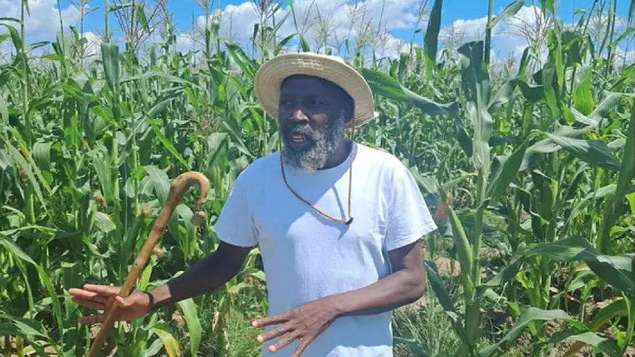 Sahte peygamber skandalı! Çiftliğinde çocukları evlendiriyordu: Korkunç detaylar ortaya çıktı - 1. Resim