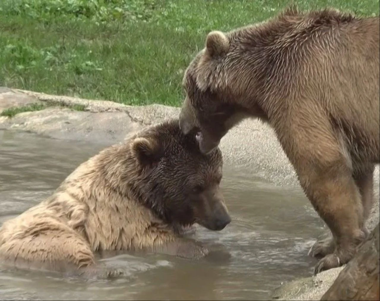 Tüm dünya uyurken onlar uyandı: Dünya Uyku Günü'nde böyle görüntülendiler - 3. Resim