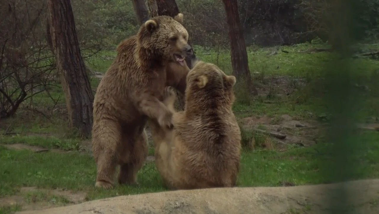Tüm dünya uyurken onlar uyandı: Dünya Uyku Günü'nde böyle görüntülendiler - 2. Resim